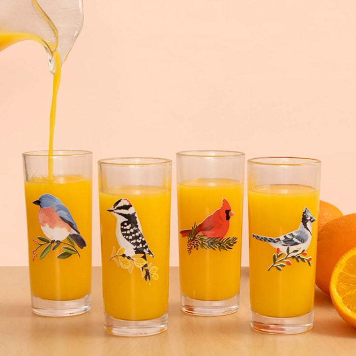 Premium Wild Birds Tall Juice Glasses Set - 16oz Elegant Drinking Glasses for Fresh Juice, Iced Tea, Cocktails - Perfect for Home, Restaurants, and Outdoor Gatherings