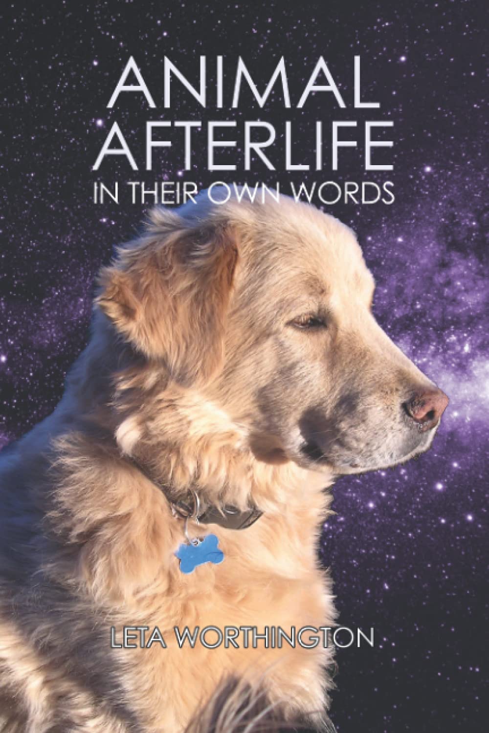 Animal Afterlife: In Their Own Words - Spiritual Pet Communication Book for Grieving Owners | Comforting Stories of Animal Afterlife Experiences