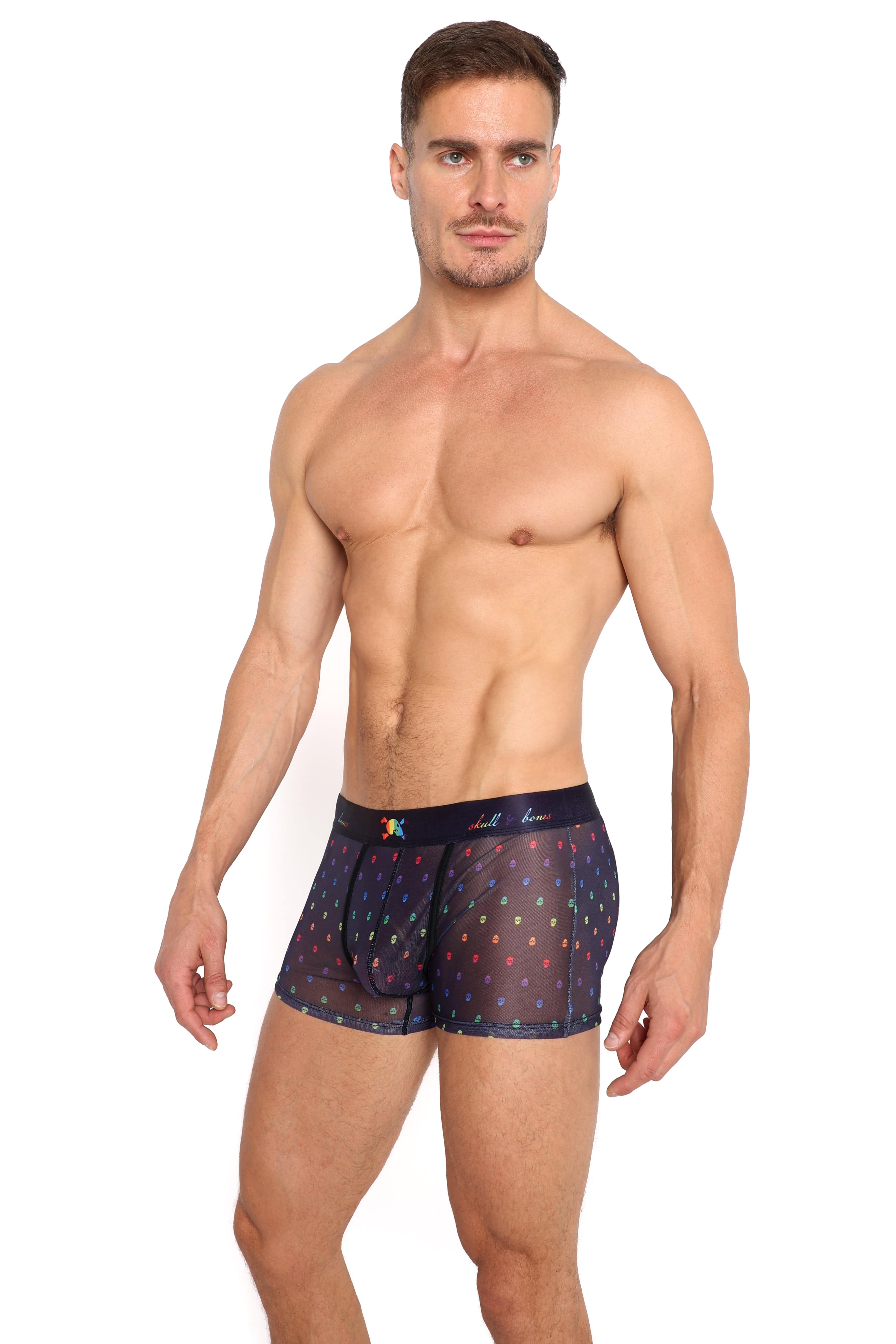 Pride Ditsy Skull Black Sheer Mesh Trunk - Gothic Lingerie Underwear for Women | Perfect for Halloween, Cosplay & Alternative Fashion
