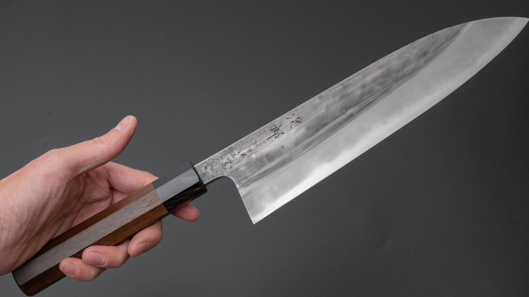 Premium Jiro Tsuchime Wa Gyuto 240mm Japanese Chef Knife with Taihei Tagayasan Handle - Perfect for Sushi, Meat Cutting & Professional Kitchen Use