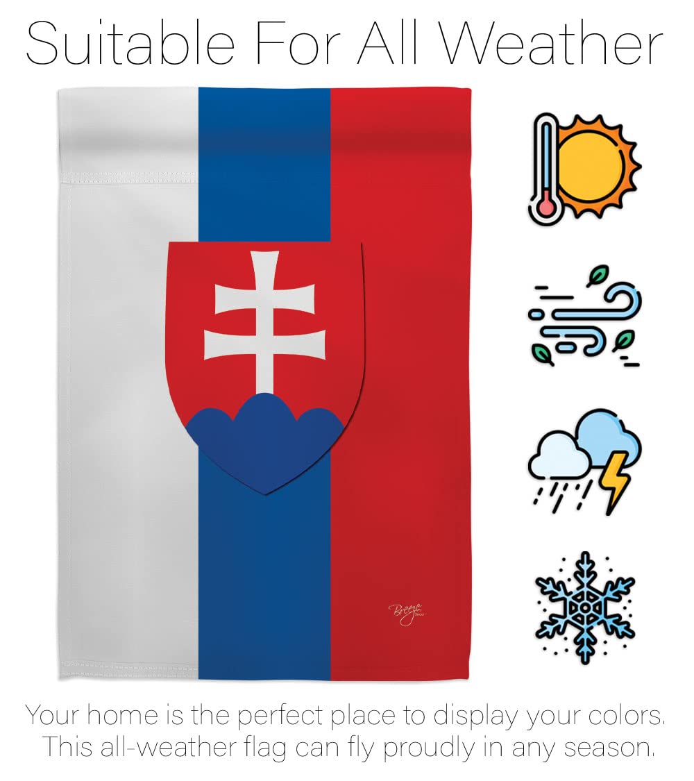 Slovakia National Flag Set 28x40