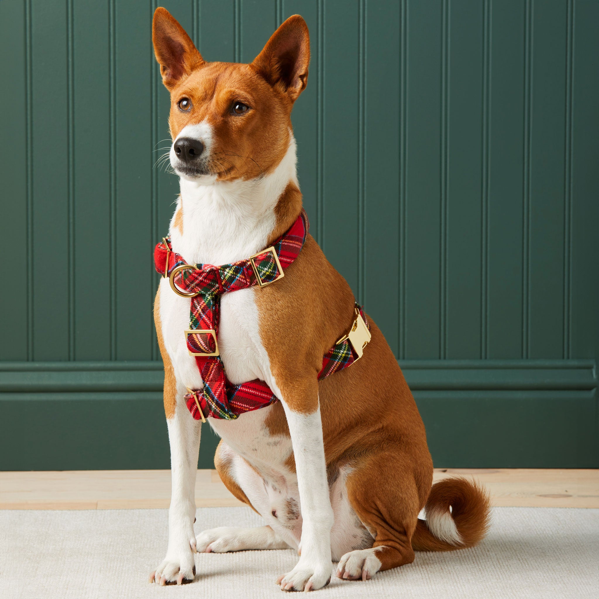 The Foggy Dog Harness - Tartan Plaid Flannel Reflective Pet Vest for Small & Medium Dogs - Perfect for Walking, Hiking & Outdoor Adventures