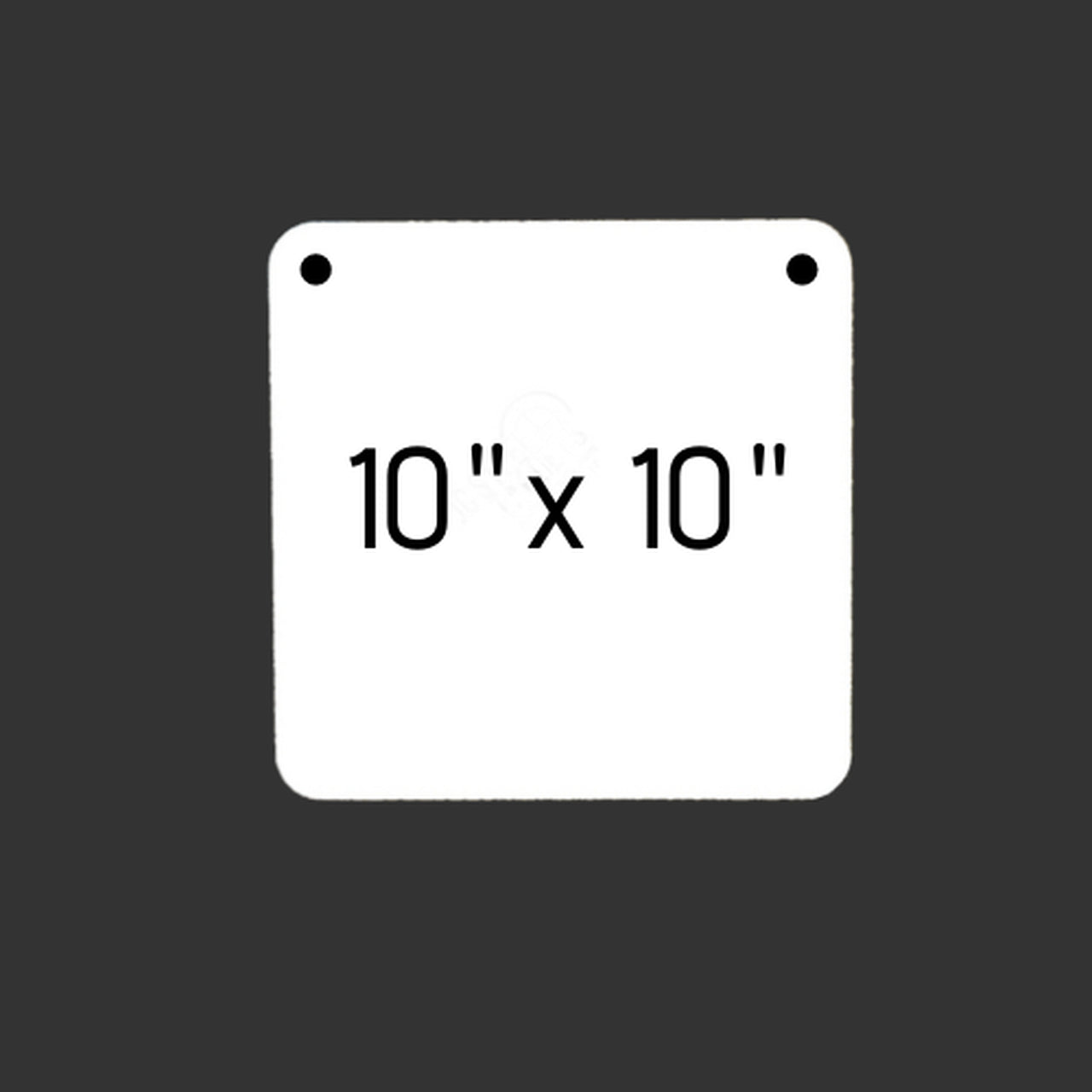 AR500 Steel Shooting Target - 10