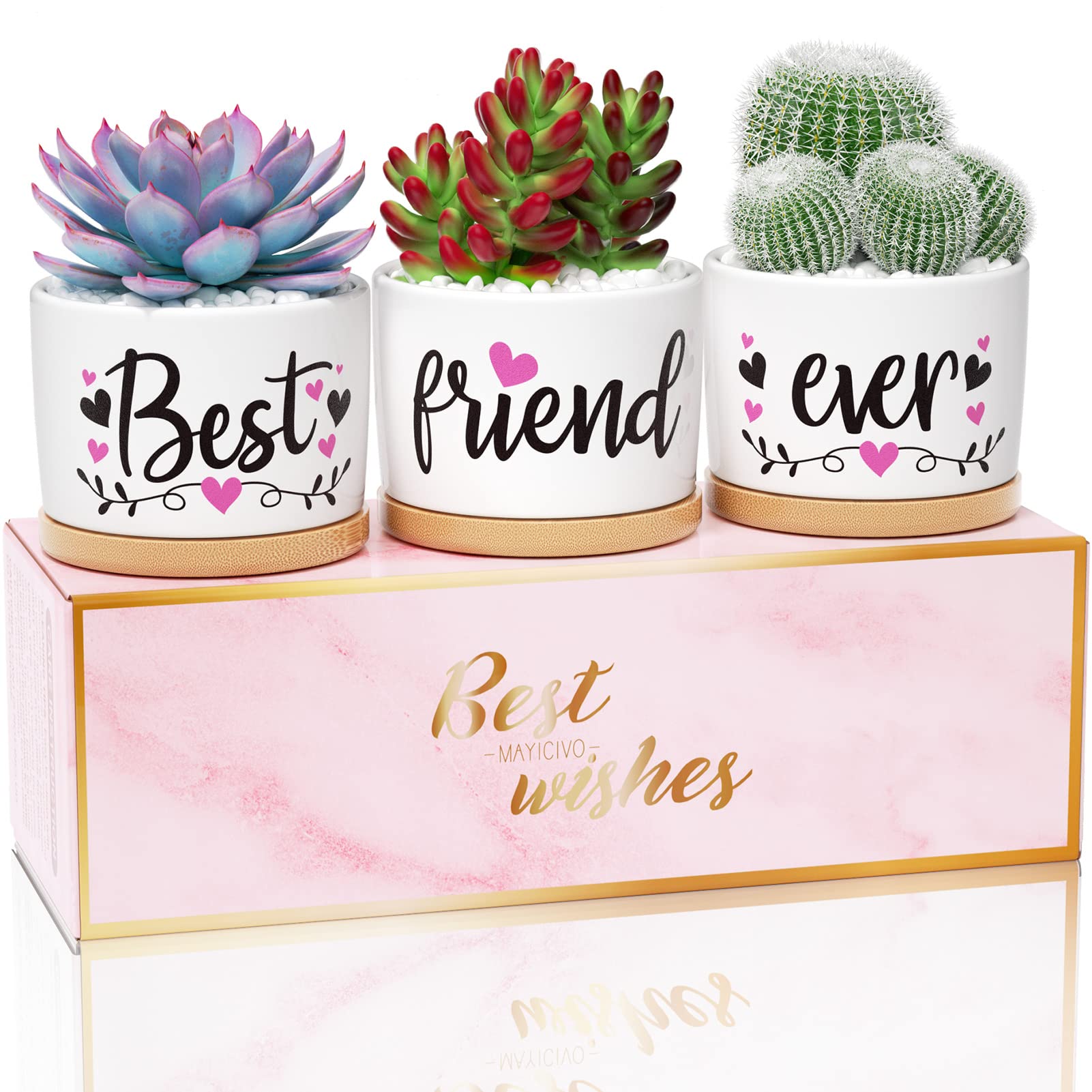Best Friend Birthday Gifts for Women & Teen Girls - Thoughtful BFF Gifts for Sisters & Besties - Elegant Gift Boxed Succulent Pots - Ceramic Indoor Planters for Home & Office Decor - Perfect for Christmas, Anniversaries & Special Occasions