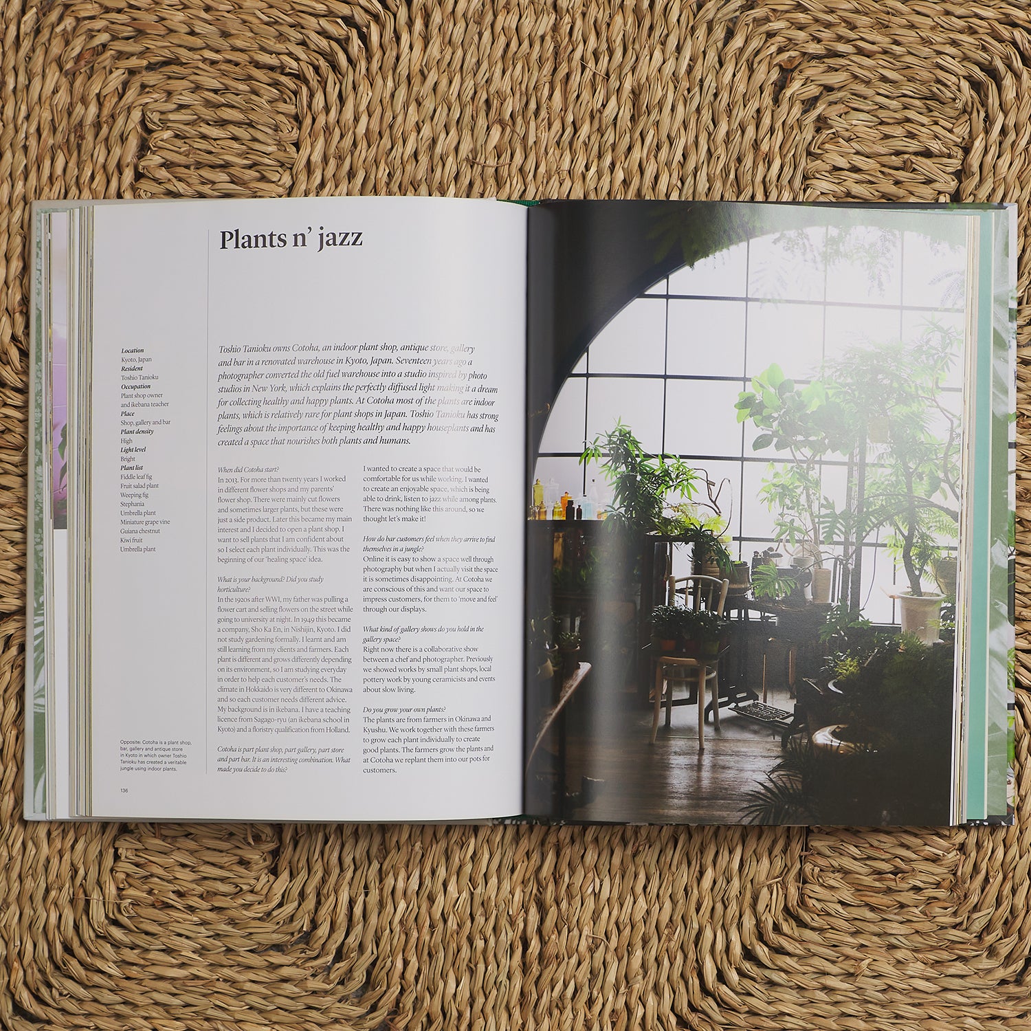 Indoor Green: Living with Plants - Best Houseplants for Home Decor, Air Purifying & Wellness | Perfect for Apartments, Offices & Living Spaces