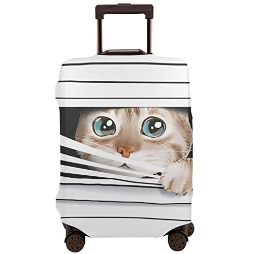 Funny Cat Pattern