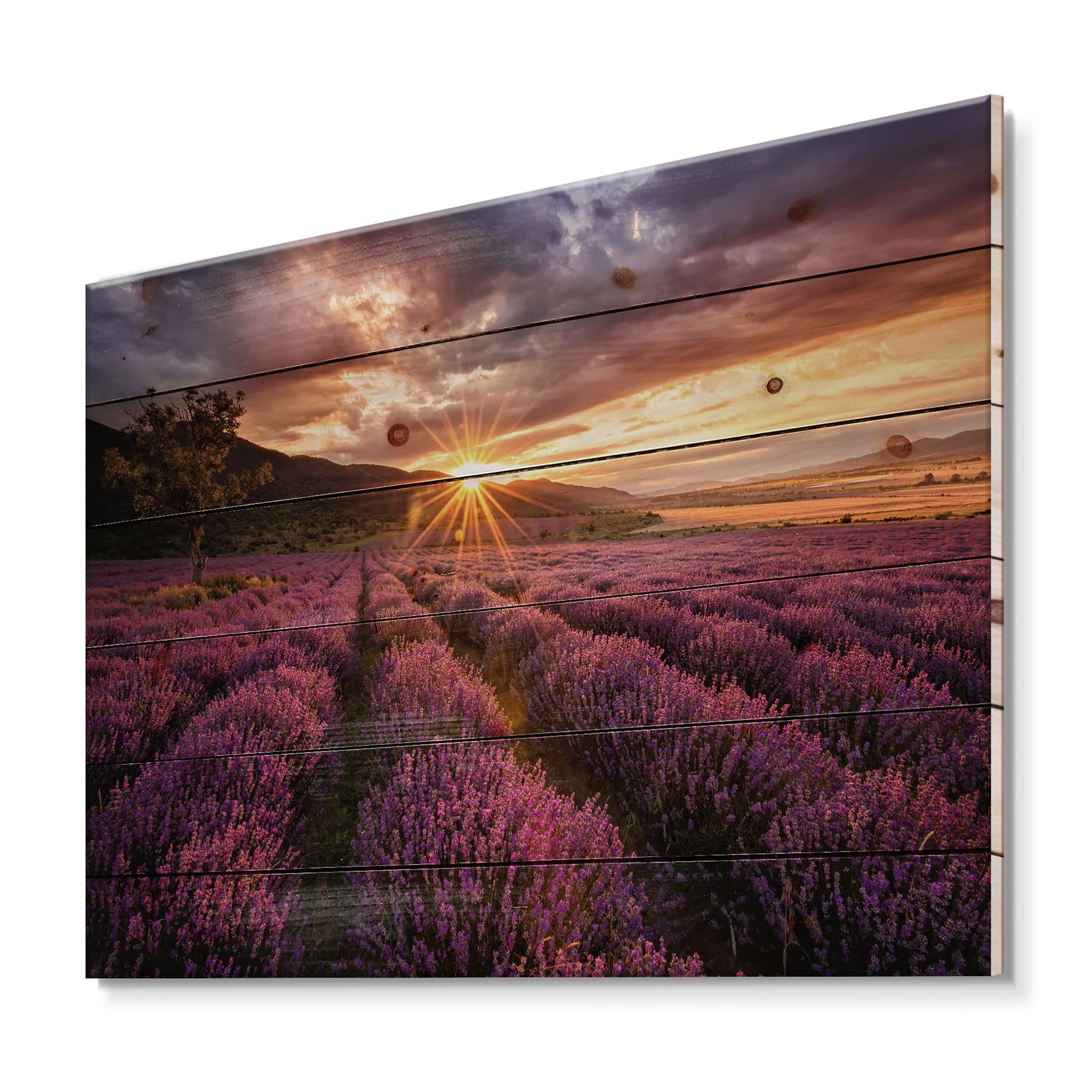 Lavender Field Wood Wall Art - Farmhouse Decor for Living Room & Bedroom