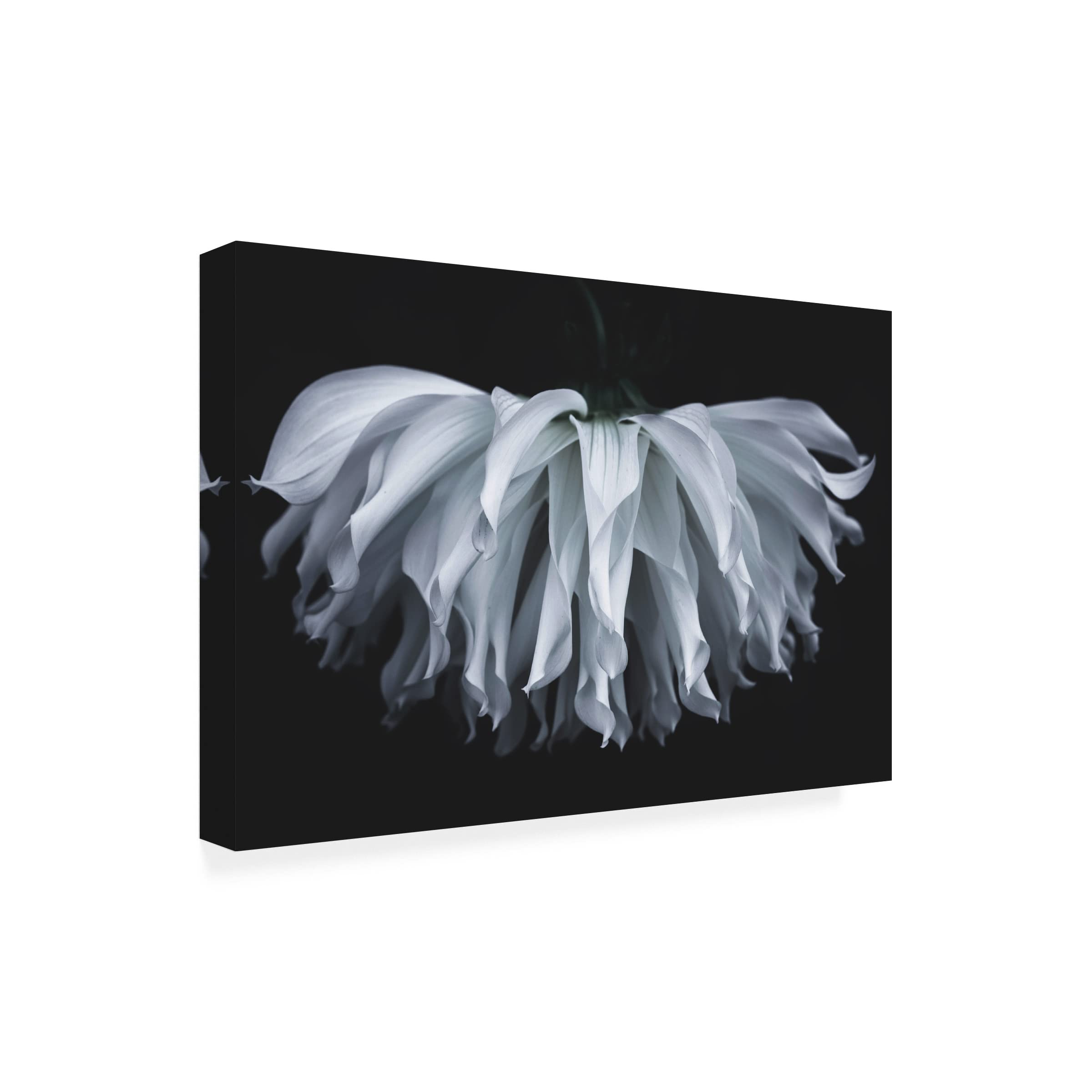 Takashi Suzuki 'Flare Flower' Canvas Wall Art Print - Modern Floral Home Decor for Living Room, Bedroom & Office