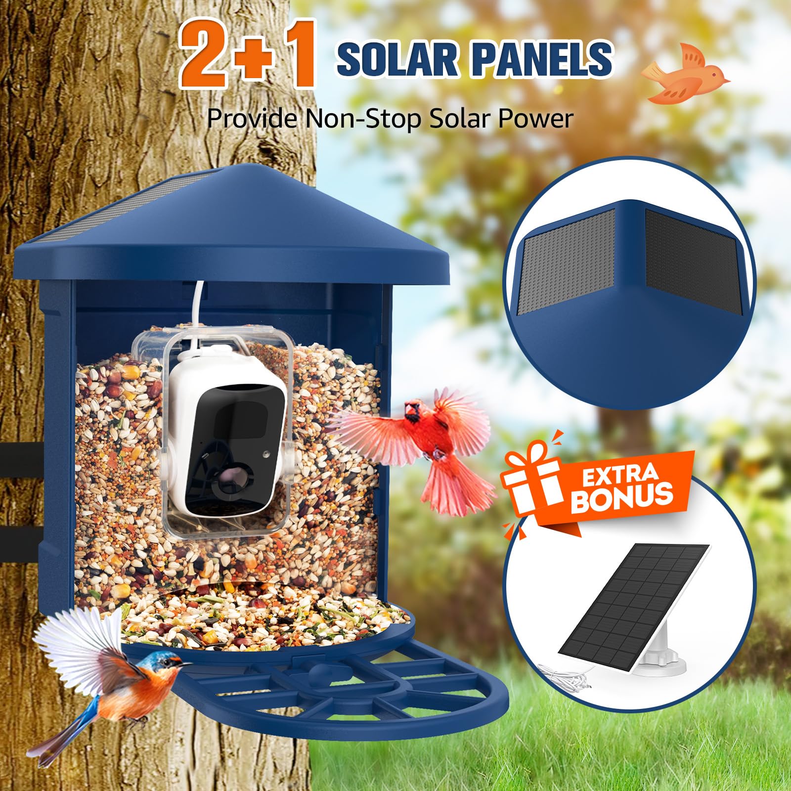 PeckCam® Smart Bird Feeder with Camera - 2K HD AI Bird Identification, Solar Powered Wildlife Camera, Auto Video Recording & Instant Alerts | Perfect Gift for Birdwatchers & Nature Lovers | Backyard Bird Watching, Garden Wildlife Monitoring, Home Security Camera Alternative