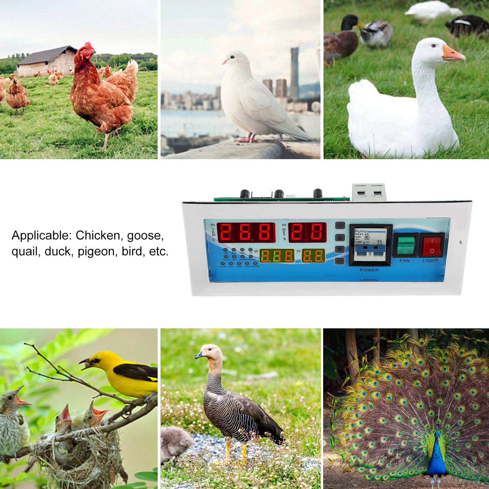Digital Egg Incubator Controller - High Accuracy Temperature & Humidity Monitor with LCD Display for Chicken, Goose, Quail & Duck Eggs (180-240V) | Perfect for Poultry Farming & Hatching Eggs at Home