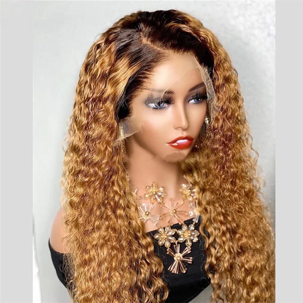 13x6 HD Transparent Lace Front Wig - Honey Blonde Ombre Brazilian Remy Human Hair - Glueless Natural Hairline with Baby Hair - 150% Density 24 Inch Curly Wig for Black Women | Perfect for Daily Wear, Special Occasions & Protective Styling