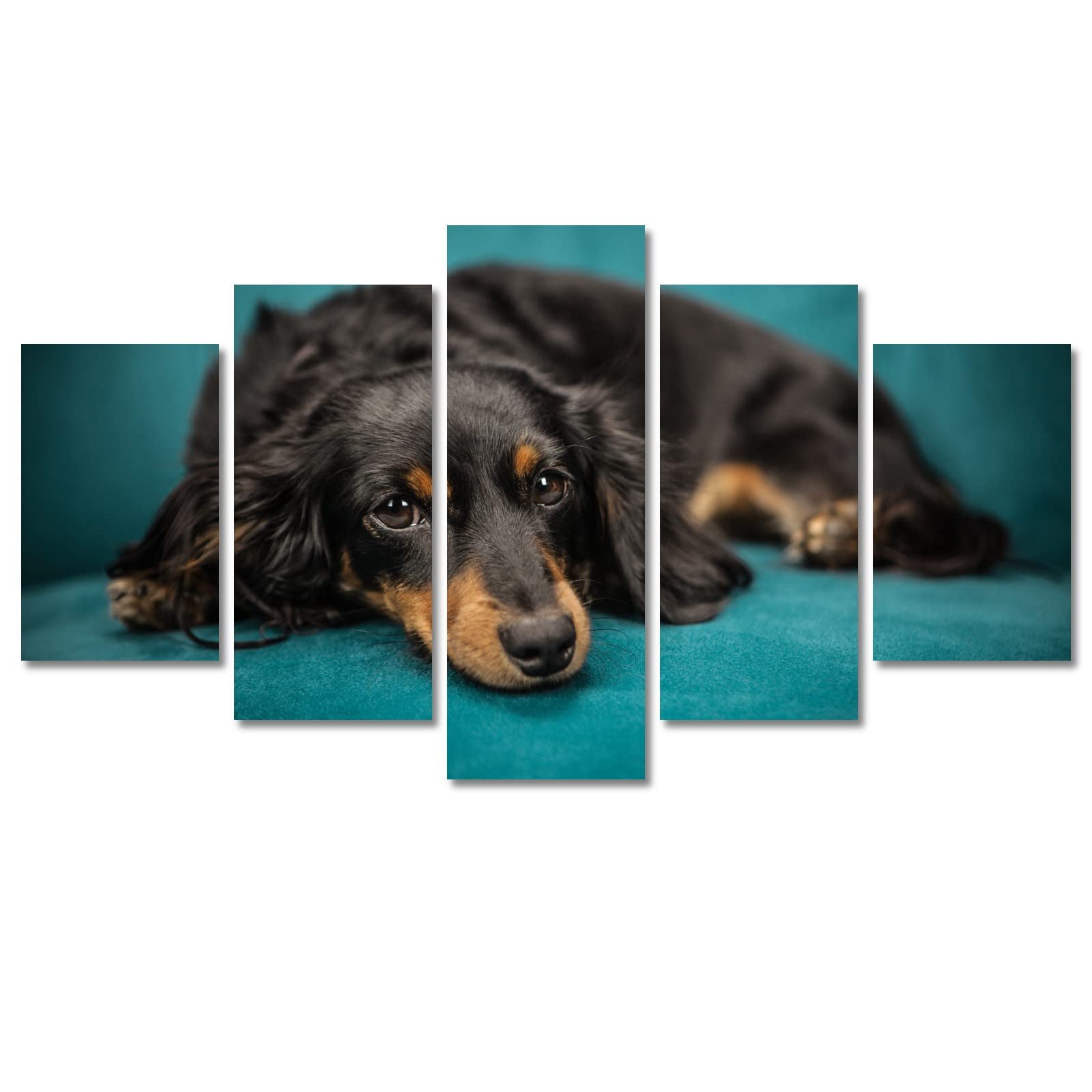 Dachshund Dog Canvas Wall Art - 5 Piece Framed Set, 50