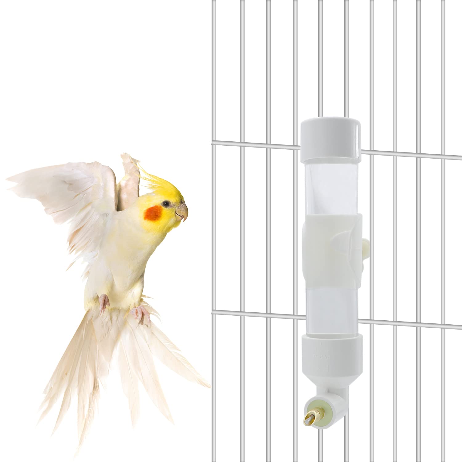 Automatic Bird Water Dispenser for Parrots, Parakeets, Cockatiels, Conures & Caiques - Small/Medium Size Pet Bird Water Feeder - Perfect for Cages, Aviaries & Travel Use