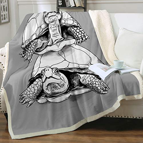 Stacked Turtle