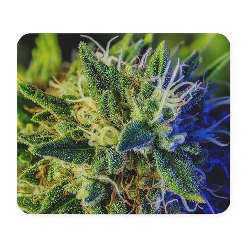 Glistening Trichomes Mousepad