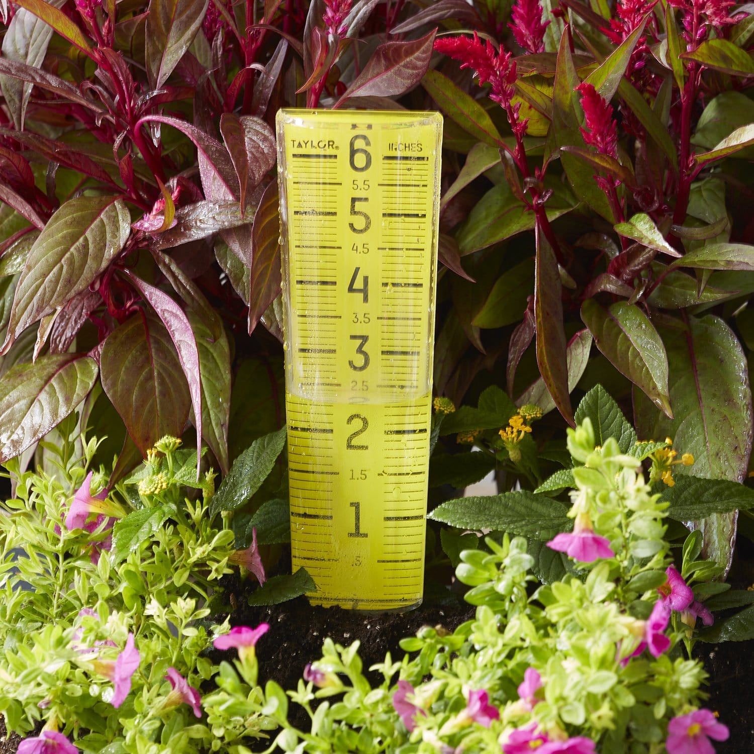 ClearVu 6 Capacity Rain and Sprinkler Gauge - Accurate Water Measurement for Lawn, Garden & Irrigation System Monitoring