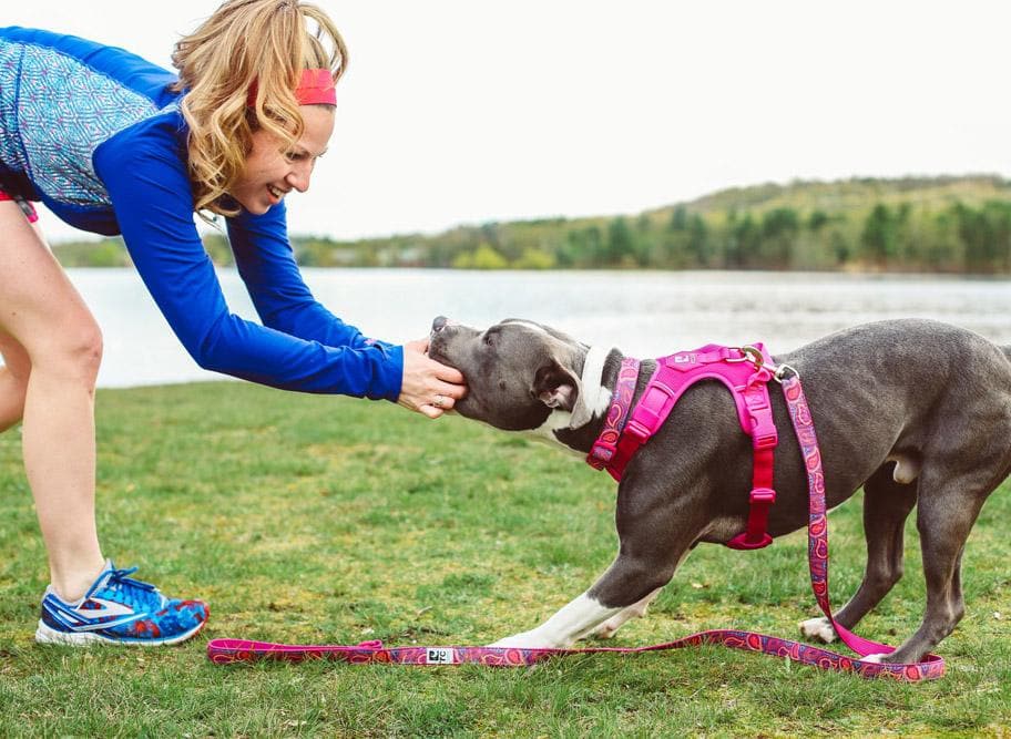 Feeling Folksy Dog Collar - Adjustable Clip Collar for Small, Medium & Large Dogs - Stylish & Comfortable Pet Accessory for Daily Walks, Training & Outdoor Adventures