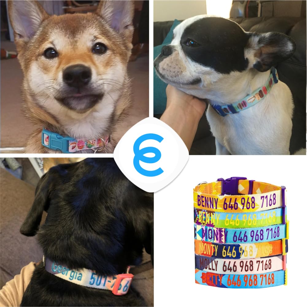 Personalized Embroidered Dog Collar for Large Dogs - Adjustable Pet Collar with Custom Name & Phone Number, Blueberry & Lemon Design - Perfect for Daily Walks, Training & Identification