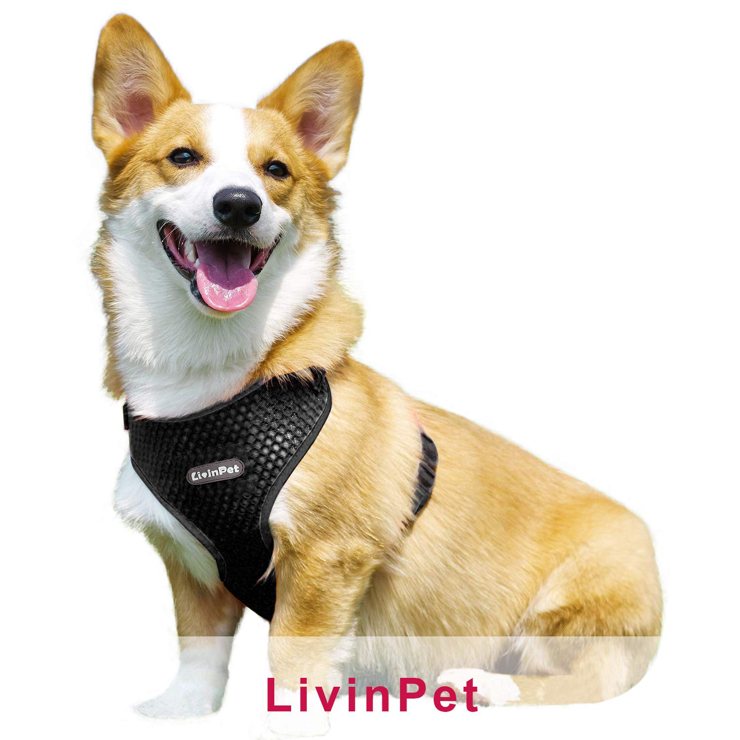 LivinPet No-Choke Reflective Dog Vest Harness with Adjustable Straps & Zinc Alloy Buckle - Comfortable Walking Harness for Small Medium Large Dogs - Perfect for Night Walks, Jogging, and Outdoor Adventures