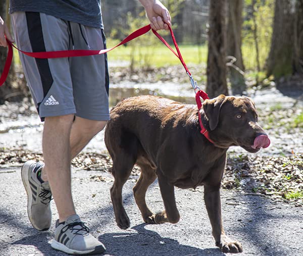 Premium 6-Foot Nylon Dog Leash with Traffic Handle & Secure Snap - 30+ Color Options (1