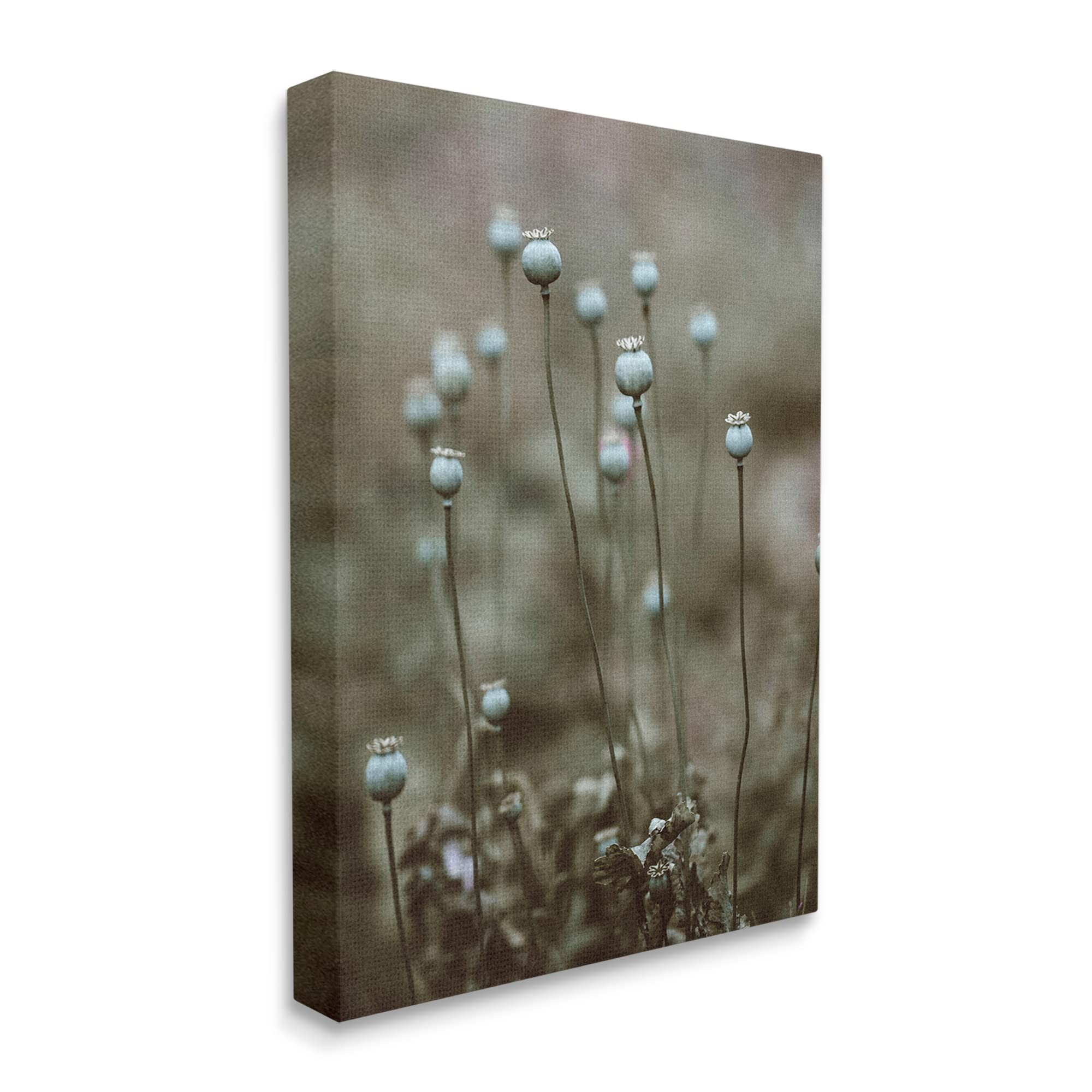 Stupell Industries Serene White Floral Bulb Woodland Photography Wall Art - Nature-Inspired Home Decor for Living Room, Bedroom & Office