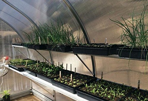 IVs Greenhouse Kit for Indoor Gardening - Grow Fresh Herbs, Vegetables & Flowers Year-Round at Home