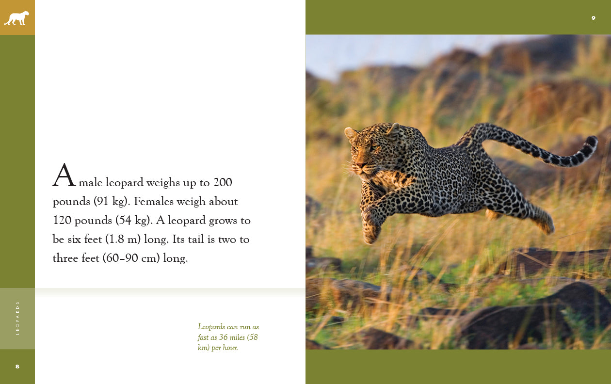 Leopards: 9781640265479 - Wild Animal Book for Kids & Adults - Perfect for Wildlife Enthusiasts, Nature Lovers & Classroom Learning