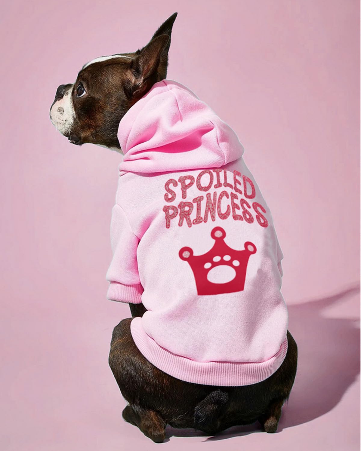 Small XS Dog Clothes for Yorkie & Chihuahua - Pink Princess Printed Puppy Shirt for Female Dogs | Perfect for Birthday Parties, Photo Shoots & Daily Fashion
