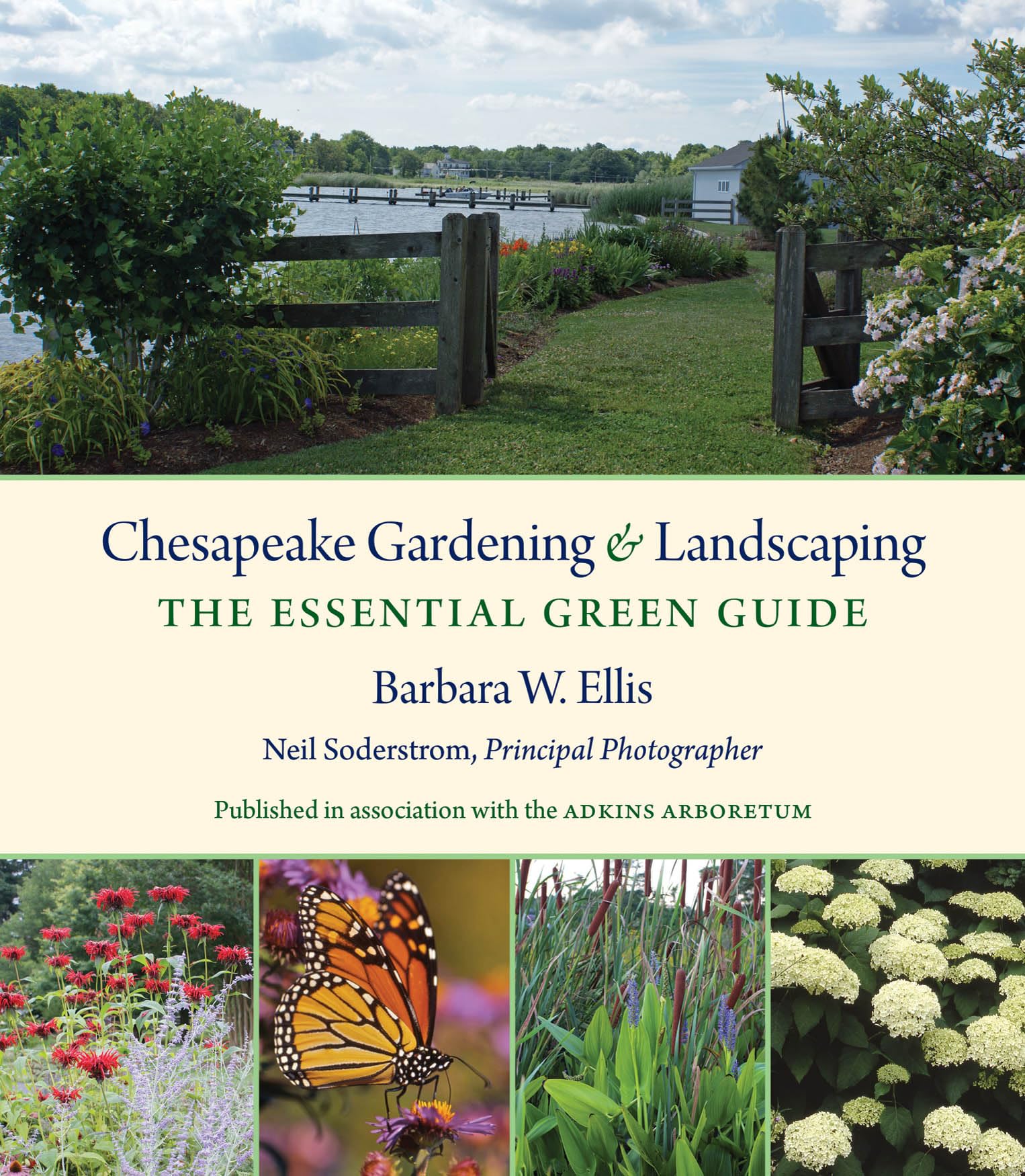**Chesapeake Gardening & Landscaping Guide - Essential Tips for Beautiful Yards | Perfect for Homeowners & DIY Landscaping Projects**    (优化说明：   1. 符合SEO规范，包含核心关键词