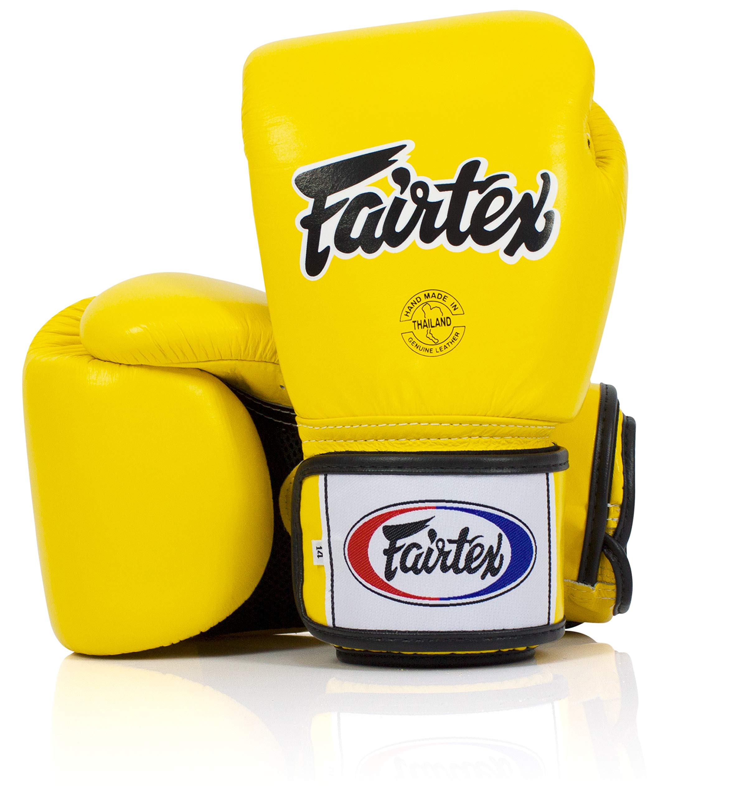 Fairtex BGV1BR Muay Thai Boxing Gloves - Breathable MMA Training Gloves for Men, Women & Kids | Premium Lightweight Shock-Absorbing Kickboxing Gloves | Perfect for Gym, Workout, Sparring & Competition