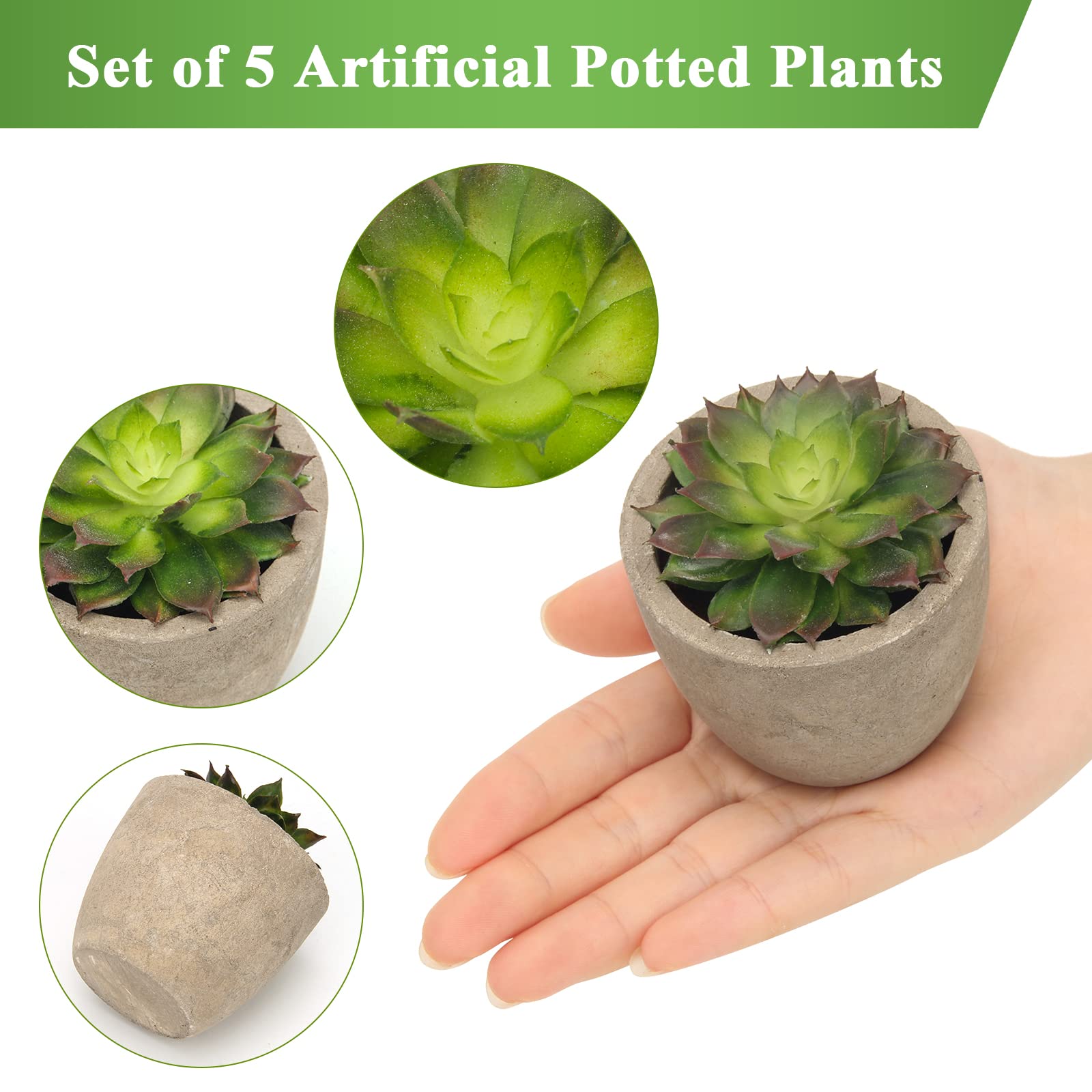 Coitak 5-Pack Artificial Succulent Plants in Pots - Realistic Fake Cactus & Succulents for Home Office Decor, Wedding Centerpieces, and Shelf Displays