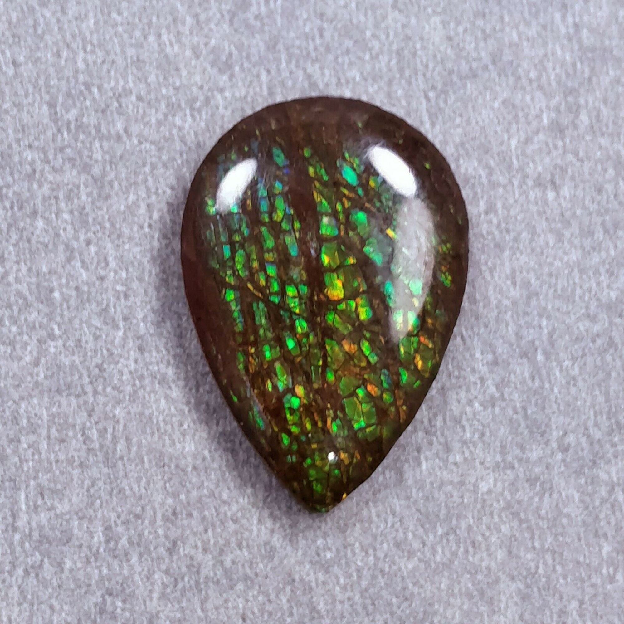 Natural AMMOLITE Gemstone Cabochon - Bi-Color Fossilized Shell, 17.5x25mm & 22x16mm Uneven Shape for Jewelry Making, Collectors & Healing Crystals