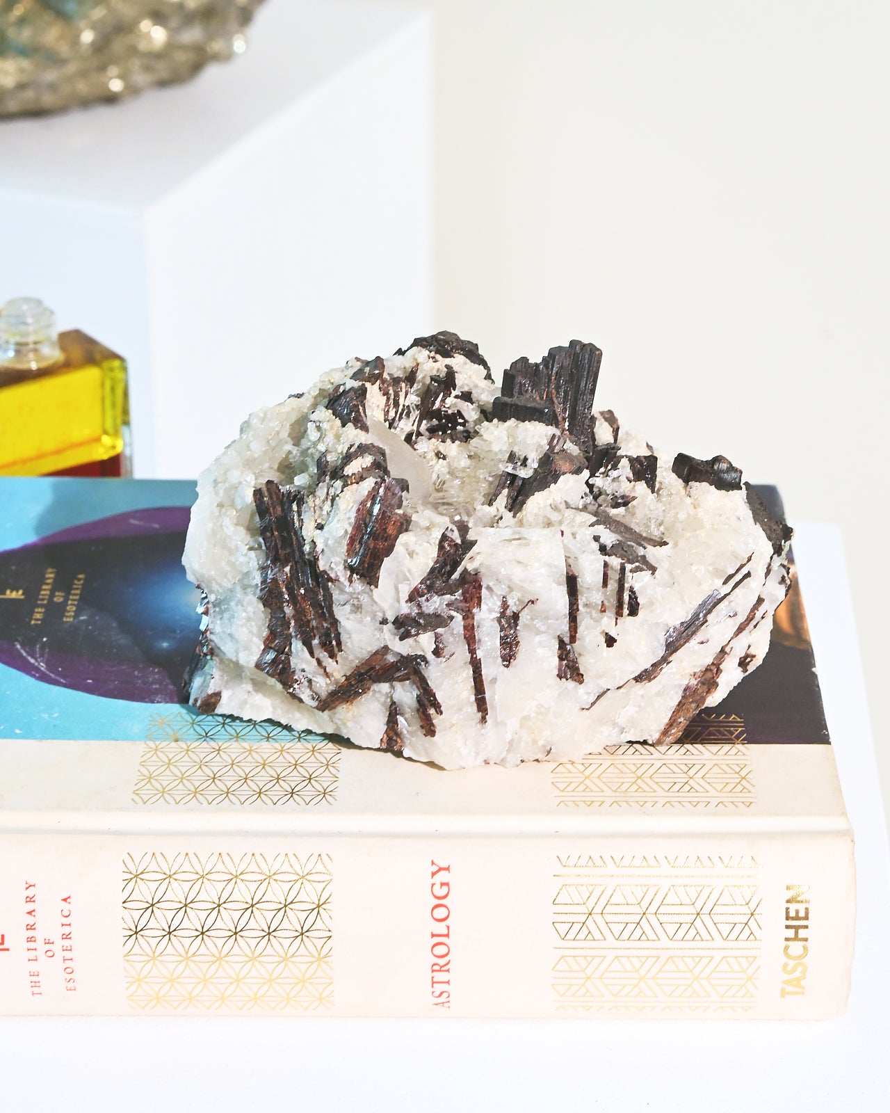 Hubnerite with Quartz Crystal Specimen - 3.3lbs Natural Mineral Collection for Home Decor, Healing Crystals & Geology Enthusiasts | Perfect for Display, Meditation & Energy Work