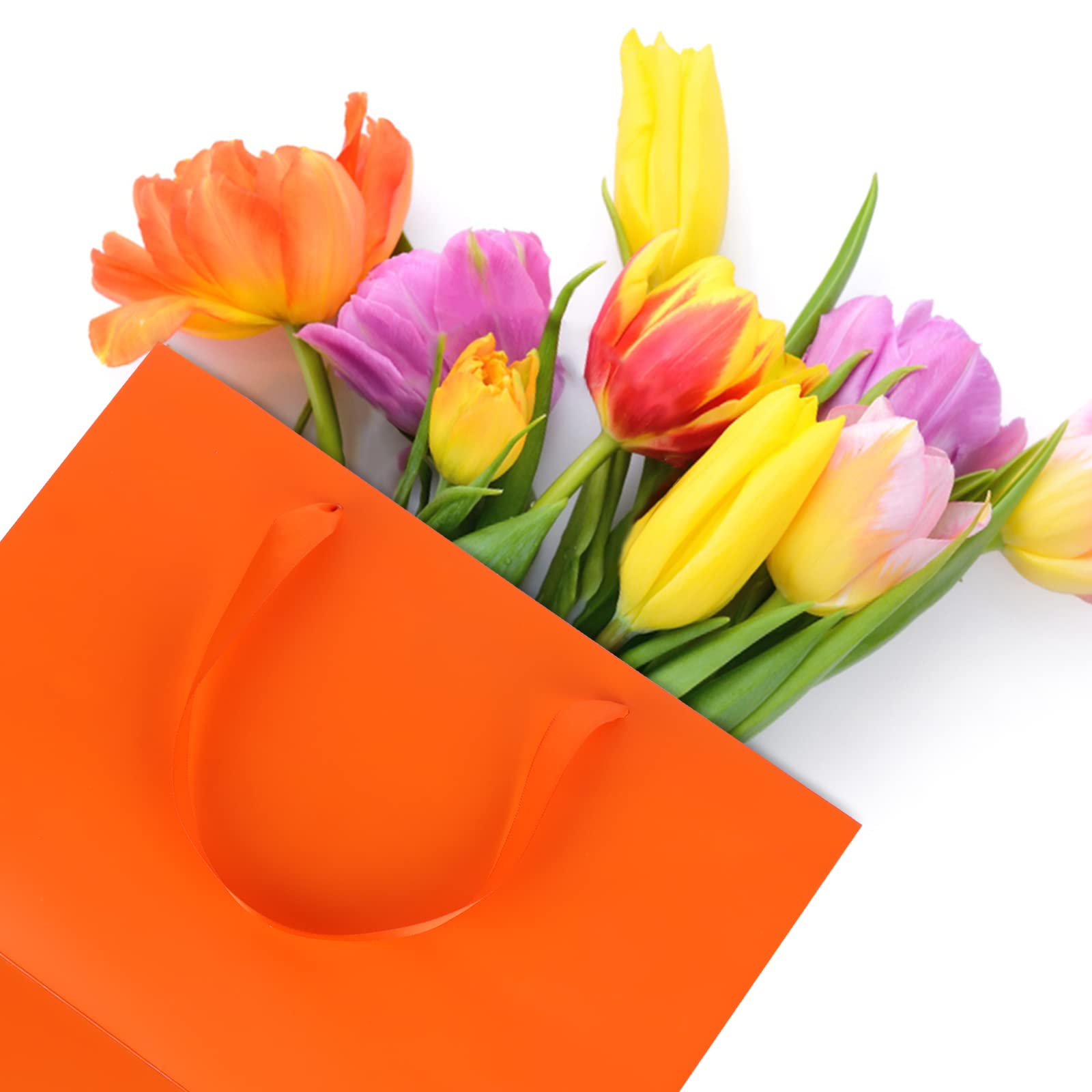 10 Pack Orange Kraft Paper Gift Bags with Handles - 12.6