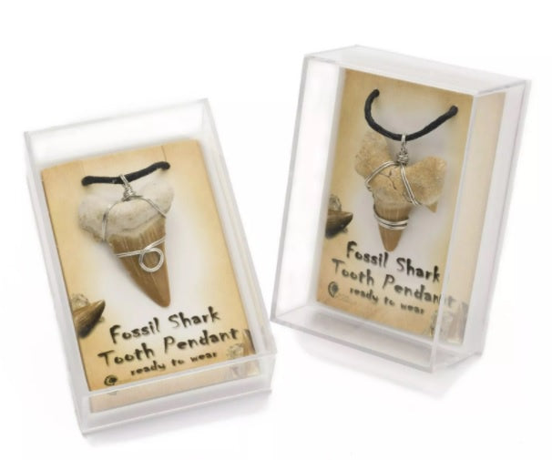 Authentic Fossil Shark Tooth Pendant Necklace - Genuine Prehistoric Shark Tooth Jewelry for Men & Women - Perfect for Beach, Outdoor Adventures & Unique Gifts
