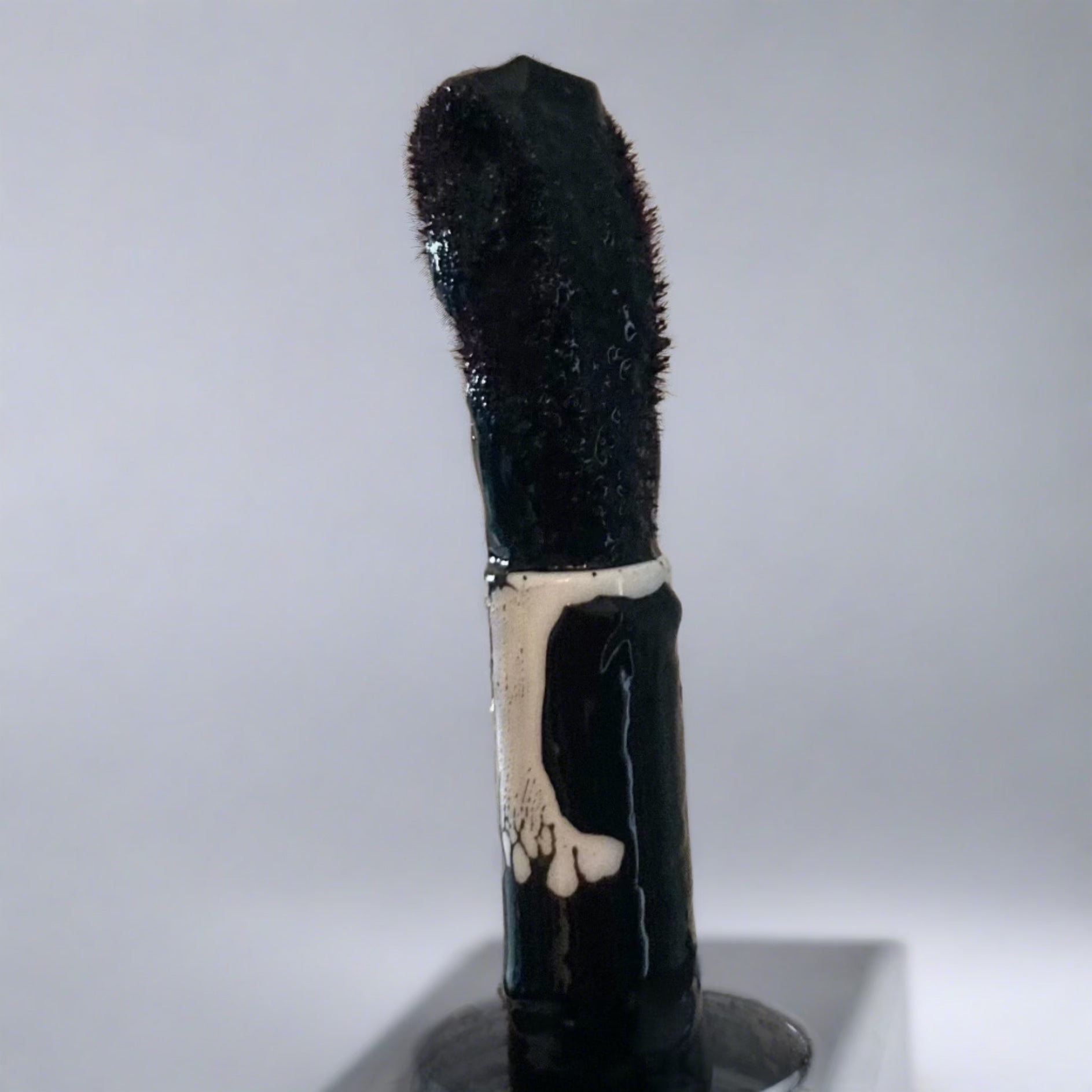 Enchanted Essence Long-Lasting Lip Stain - Noir Black Matte Lipstick for Women, Hydrating & Smudge-Proof | Perfect for Everyday Wear, Date Night & Special Occasions