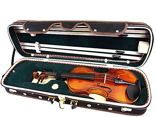 Premium 4/4 & 4/4 Pro Enhanced Wooden Violin Case with Free Strings - Durable Protection for Professional & Student Violinists | Perfect for Travel, Performances & Practice