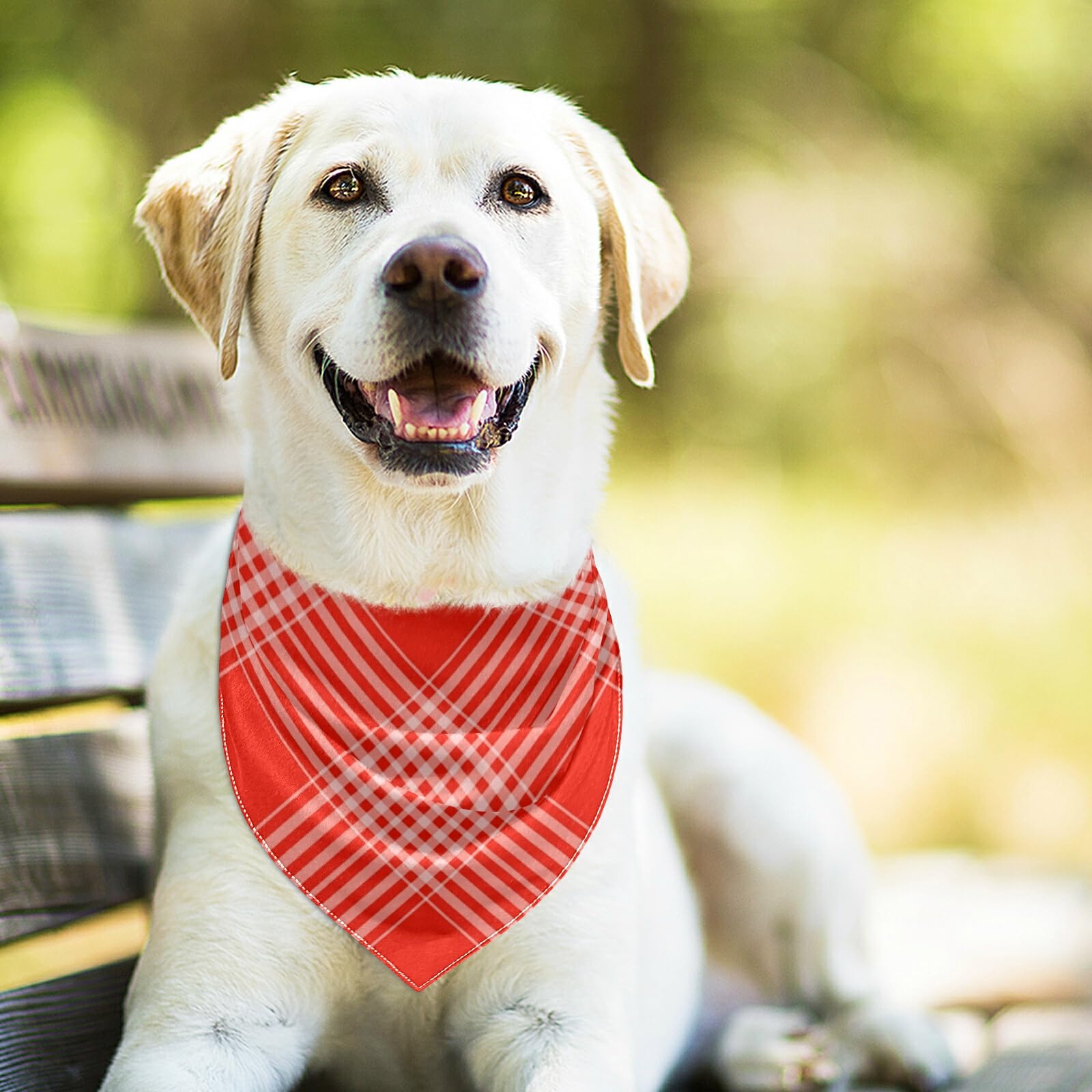 2 Pack Soft Breathable Dog Bandanas - Checkered Milk Silk Pet Scarf with Snap Button, Triangle Bibs & Kerchief Set | Perfect for Holidays, Parties & Everyday Pet Accessories