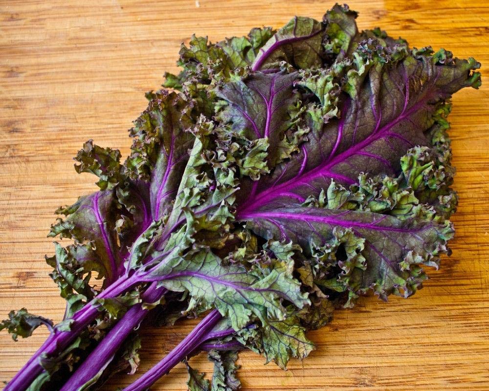 Premium 8-Variety Deluxe Kale Seed Mix - Non-GMO, Heirloom Seeds for Home Gardening (1000 Seeds) | Perfect for Salads, Smoothies & Healthy Eating | Free Shipping
