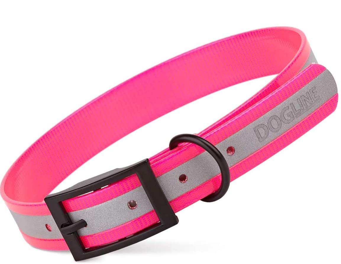 Premium Biothane Reflective Dog Collar - Waterproof, Odor-Proof & Easy-Clean Nylon Webbing with Black Hardware - Adjustable 22