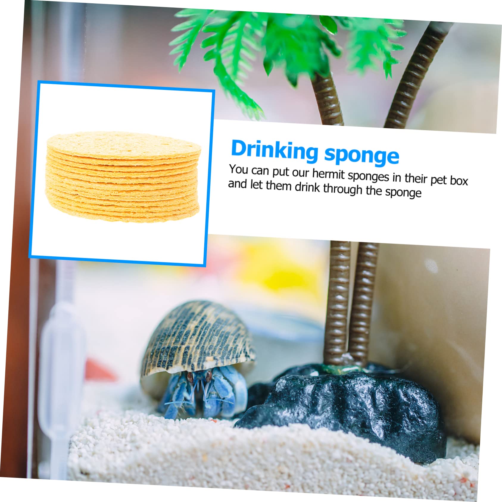 Premium Hermit Crab Cleaning & Drinking Sponges - 12 Pack Natural Safe Sponge Set for Pet Crab Habitat - Ideal for Terrarium, Cage & Tank Maintenance