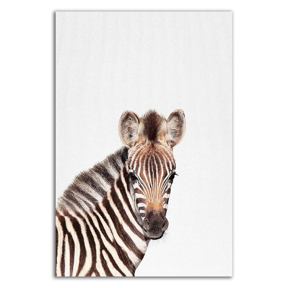 Baby Zebra Canvas Wall Art by Tai Prints - Ready to Hang Nursery Decor, Kids Room Decoration, Animal Themed Home Décor