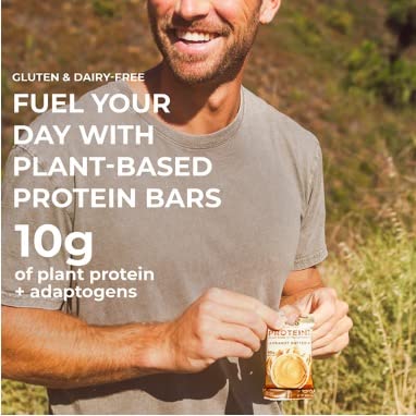 Laird Superfood Functional Protein Bars - 10g Plant-Based Protein, 6g Fiber, Non-GMO with Real Ingredients & Functional Mushrooms - Peanut Butter Flavor (10 Count) - Perfect for Post-Workout Recovery, Healthy Snacking & On-the-Go Nutrition