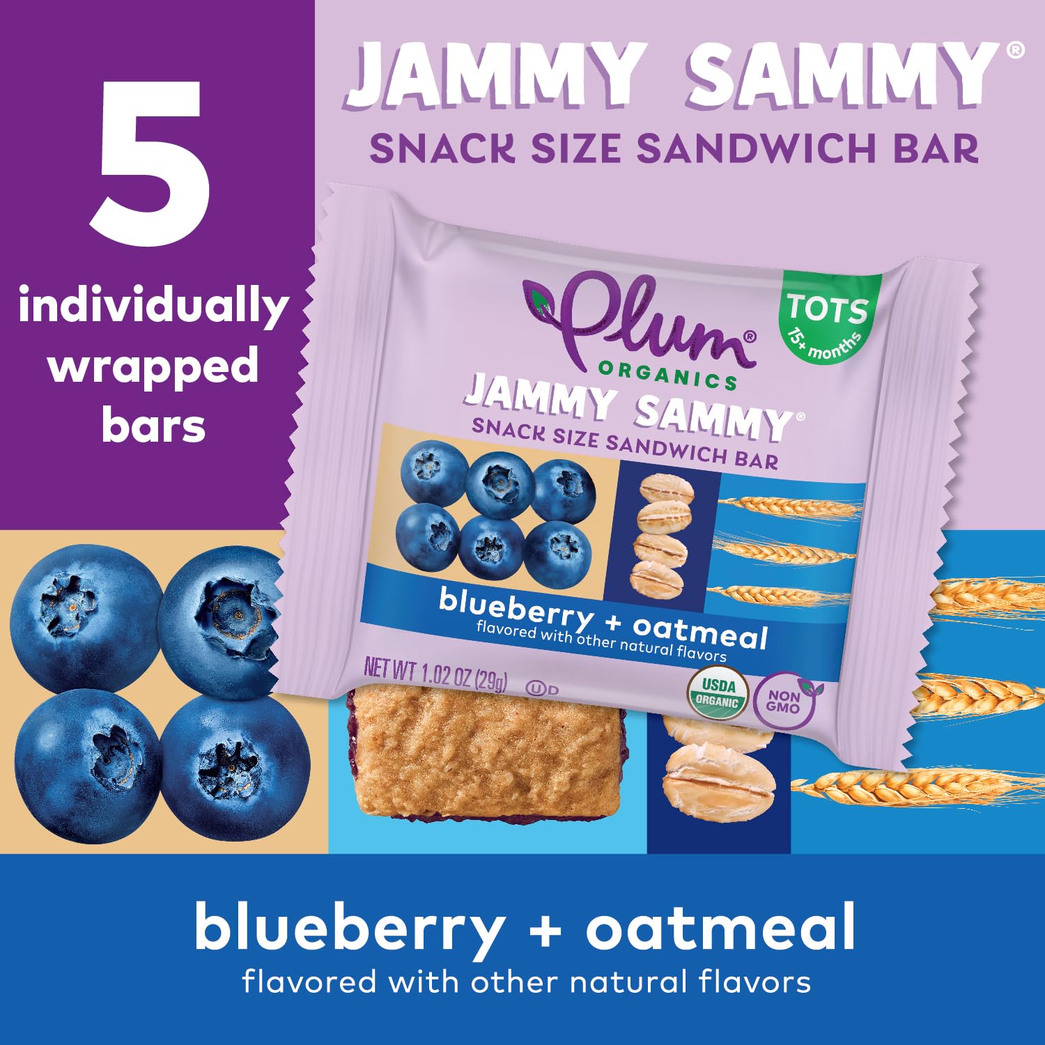 Organic Blueberry Oatmeal Toddler Snack Bars - Pack of 5 for On-the-Go Nutrition