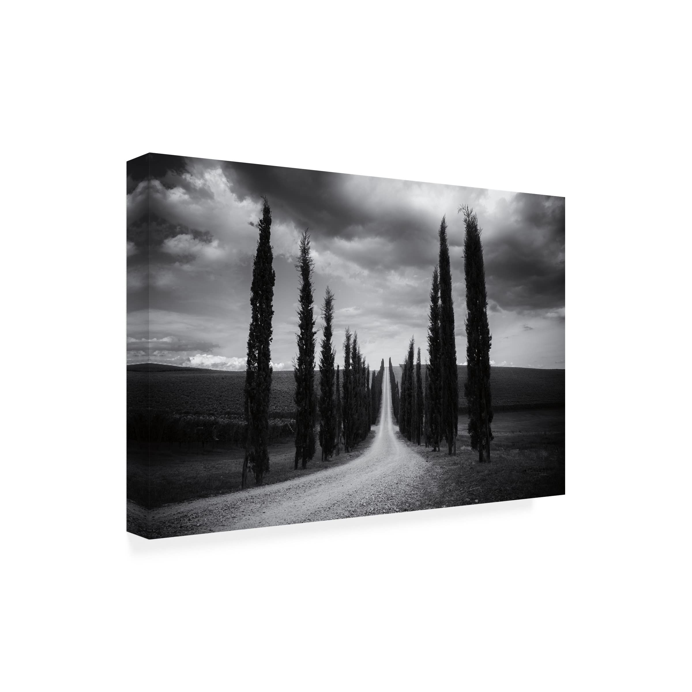 Trademark Fine Art 'Travelling In Tuscany' Canvas Wall Art Print by Aledanda - Italian Landscape Painting for Living Room, Bedroom & Office Decor