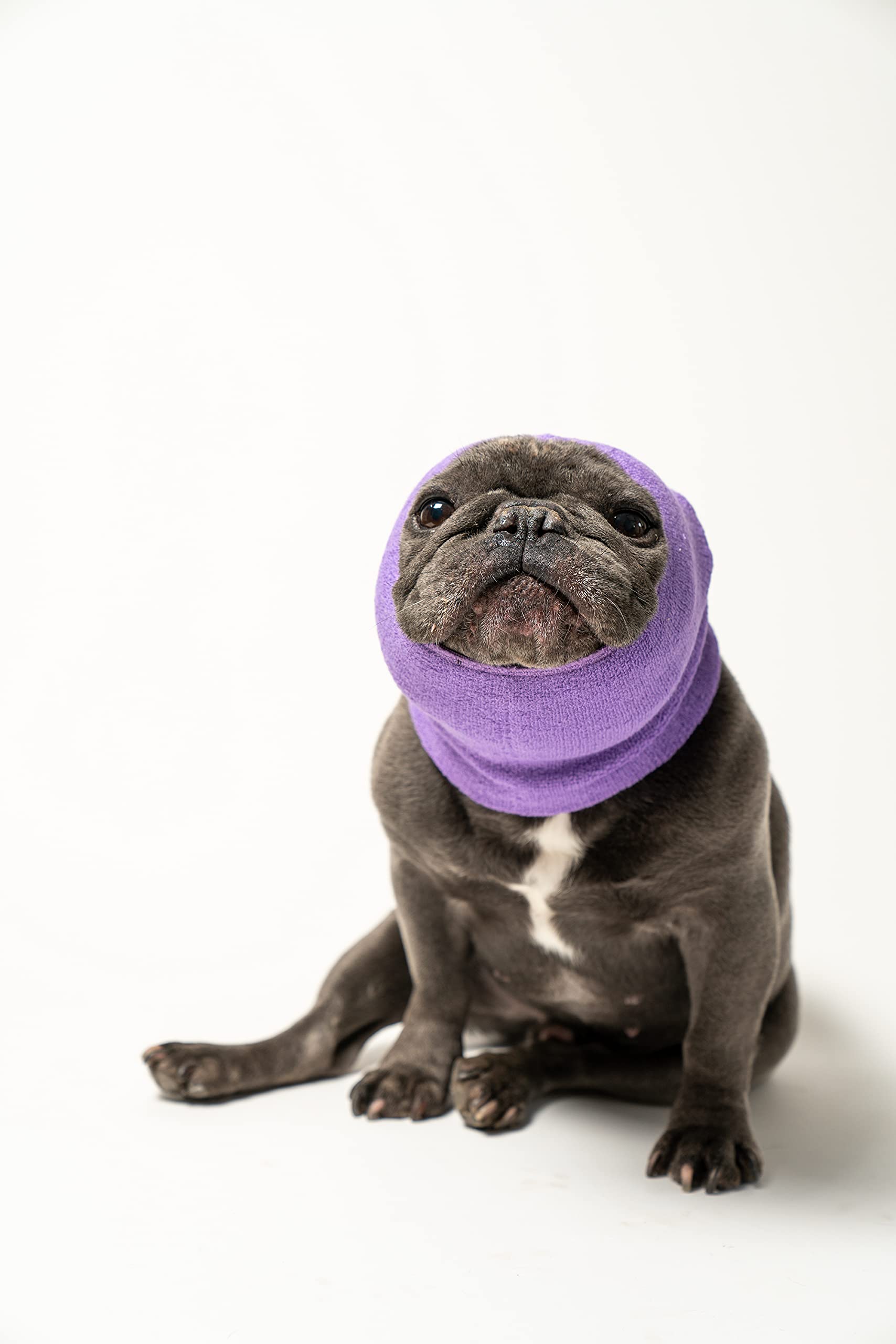 Pet Hoodz for Dogs - Anxiety Relief, Grooming & Ear Protection Hoodie | Calming Compression Ear Muffs for Small Dogs (Lavender) | Perfect for Vet Visits, Grooming & Fireworks Anxiety