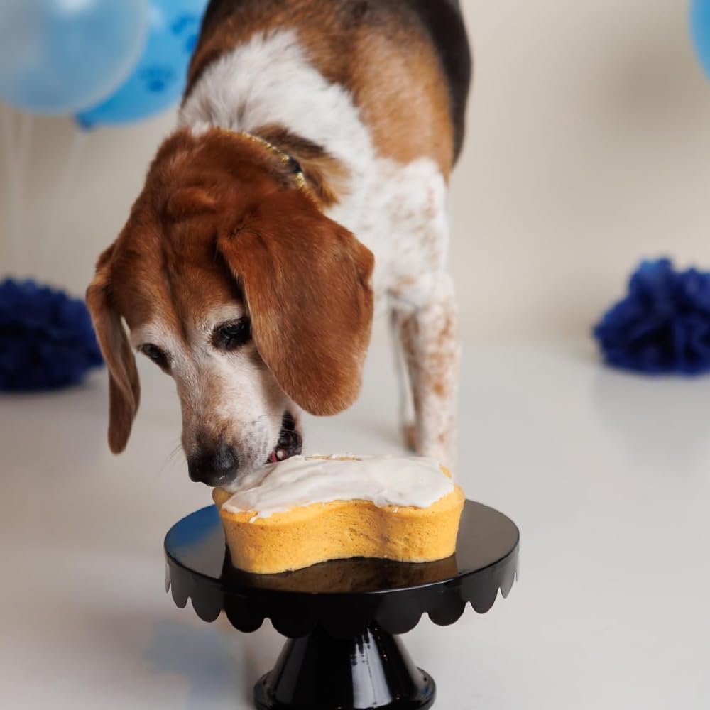 Puppy Cake Dog Birthday Cake Kit - Complete Cake & Icing Mix with Candle & Silicone Pan - Birthday Cake Flavor with Sprinkles - Bake or Microwave - Made in USA - Perfect for Dog Birthday Parties, Adoption Anniversaries & Special Celebrations