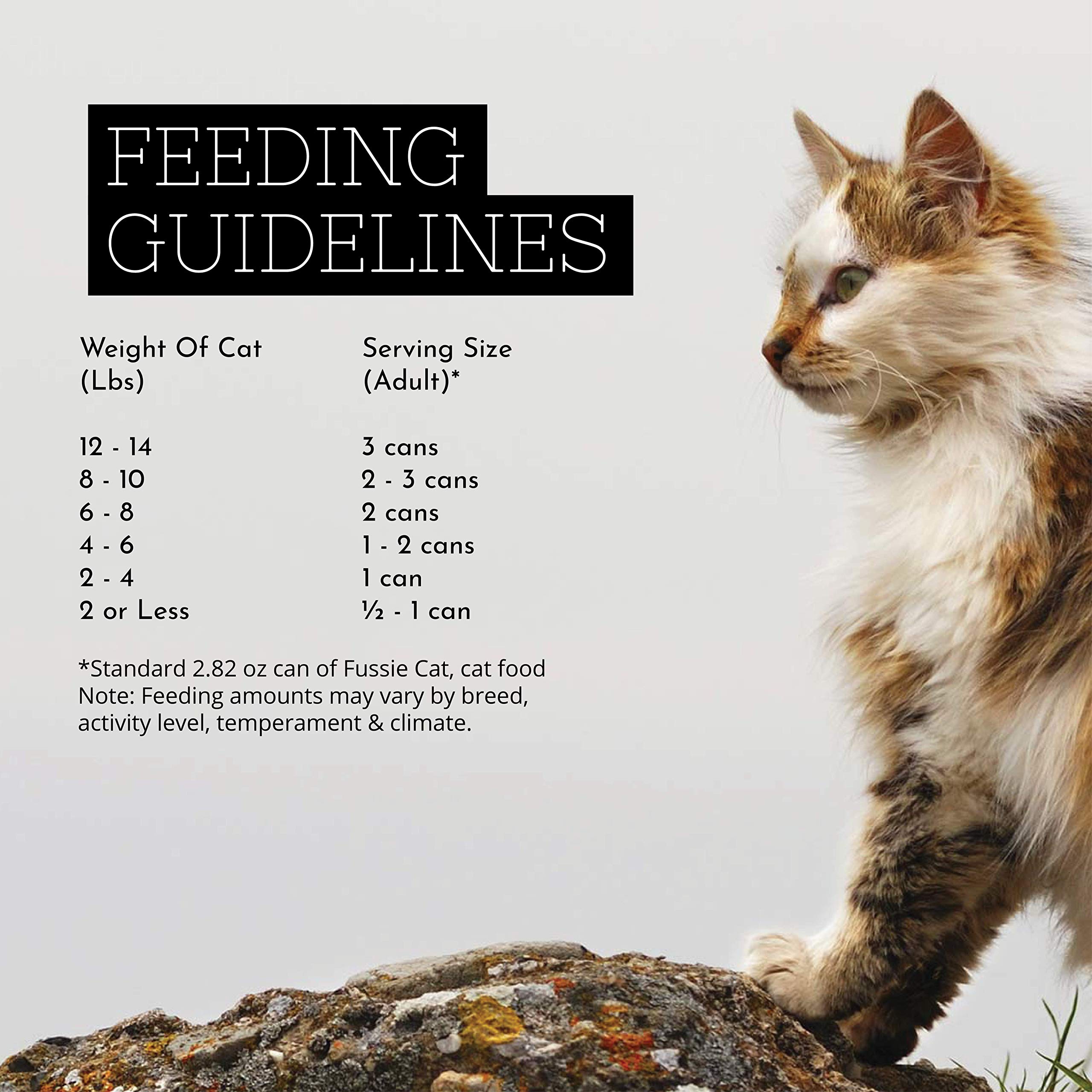 Premium Grain-Free Wet Cat Food - Fussie Cat Tuna with Smoked Tuna in Aspic, 2.82oz (Case of 24) | High Protein Meal for Adult Cats, Kitten Treats & Senior Cat Nutrition