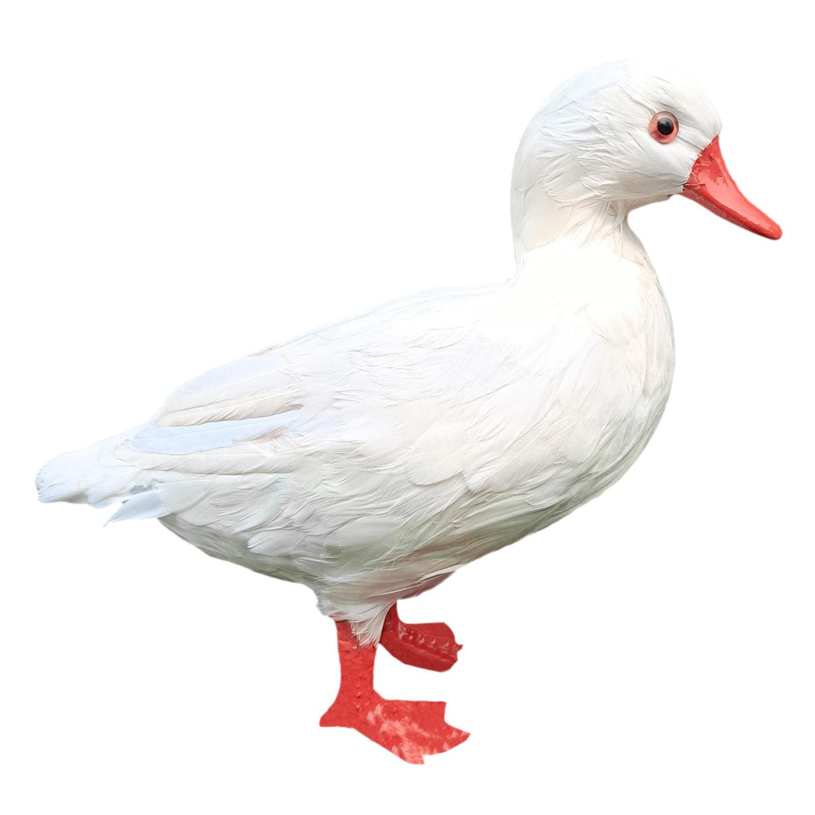 Bothyi Hand-Painted White Decorative Garden Duck Statue - Miniature Lawn, Yard & Pond Ornament for Outdoor Decor | Perfect for Garden, Patio & Water Feature Landscaping