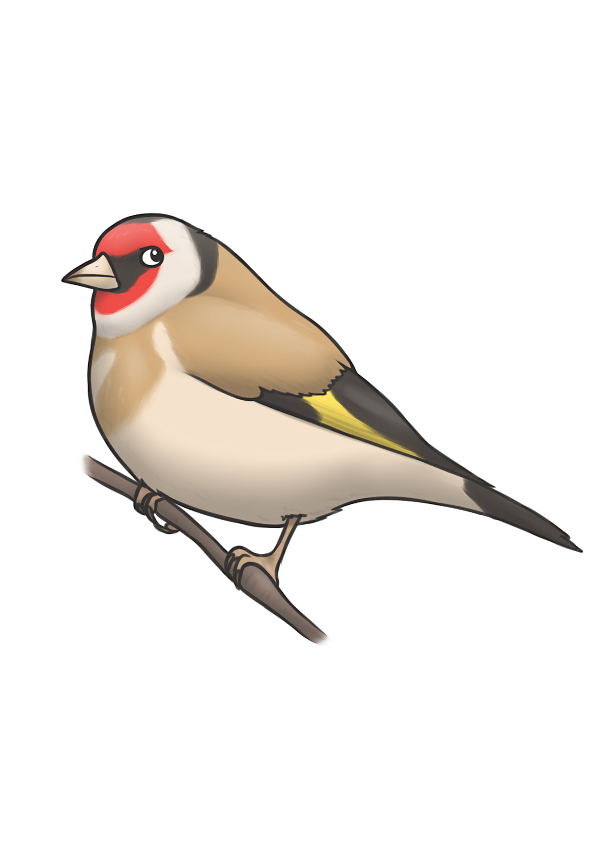 Goldfinch Framed Wall Art Print by Joe Hollingsworth & OystercatcherTF - Vintage Bird Decor for Living Room, Bedroom & Office